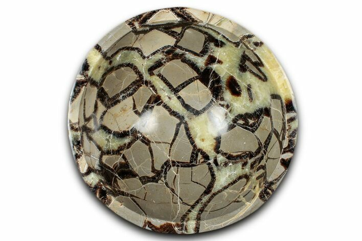 Eye-Eatching, Polished Septarian Bowl - Madagascar #350239